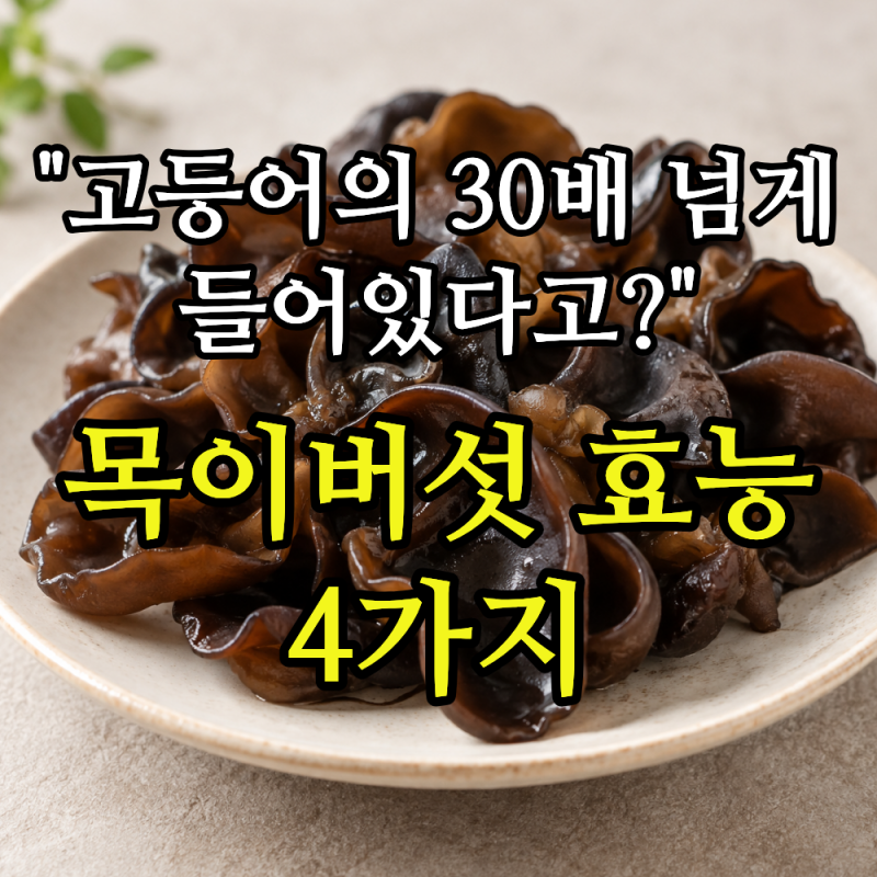 "고등어의 30배 넘게 들어있다고?" 목이버섯 효능 4가지, 불리는 법까지
