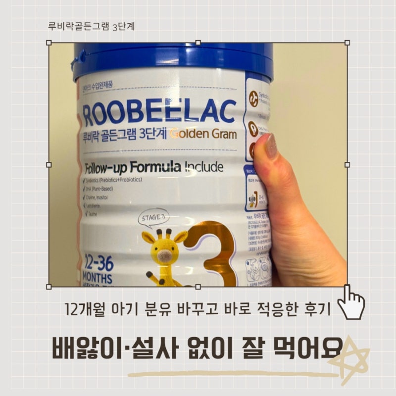루비락골든그램 3단계, 앱솔루트 산양에서 바꿔본 12개월 분유 후기