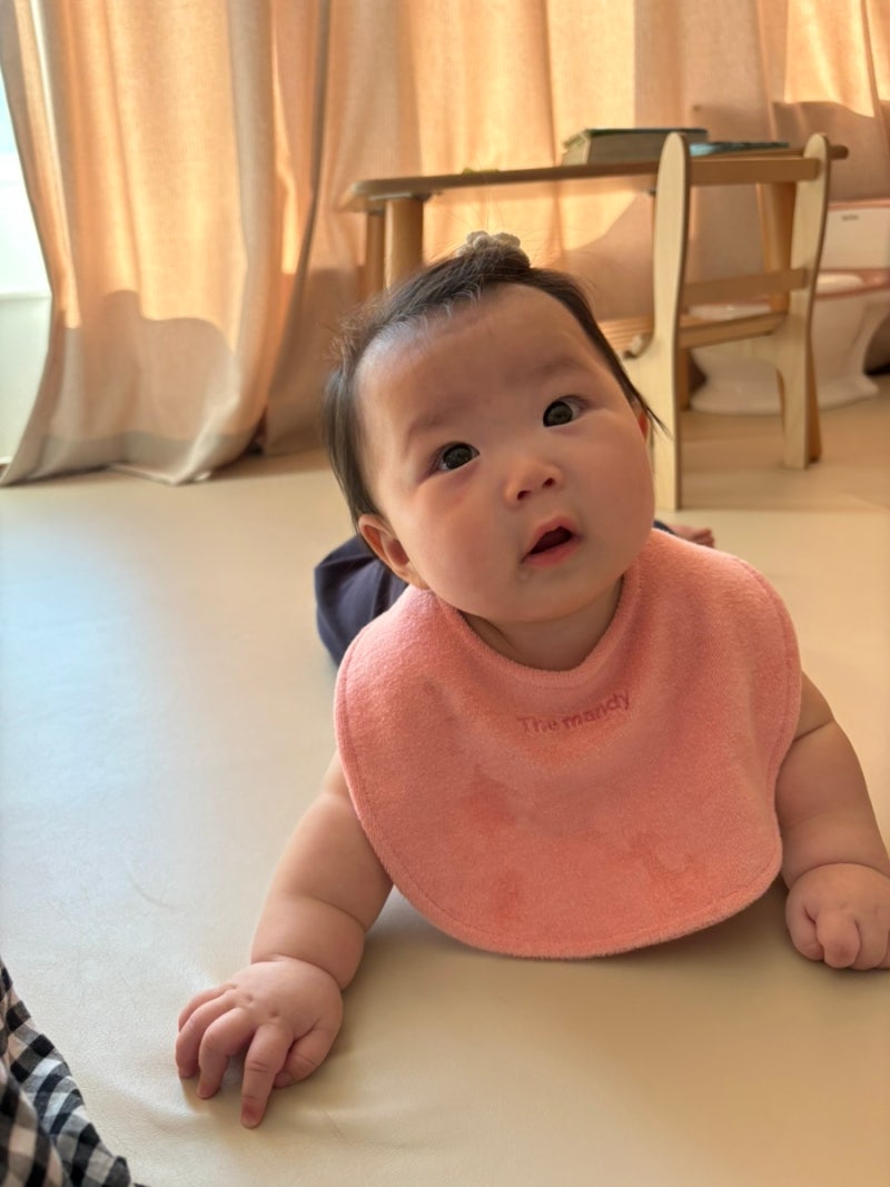 더맨디 빕 | 가성비 5+1 아기 턱받이 내돈내산 솔직후기