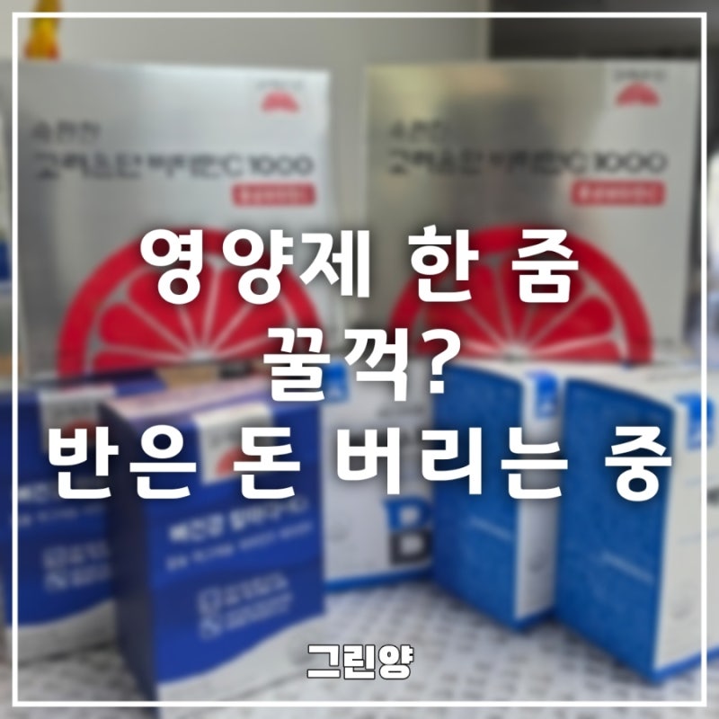 영양제 이렇게 먹으면 반은 돈 버리는 거였음(비타민 C·B·칼마디 먹는 시간)