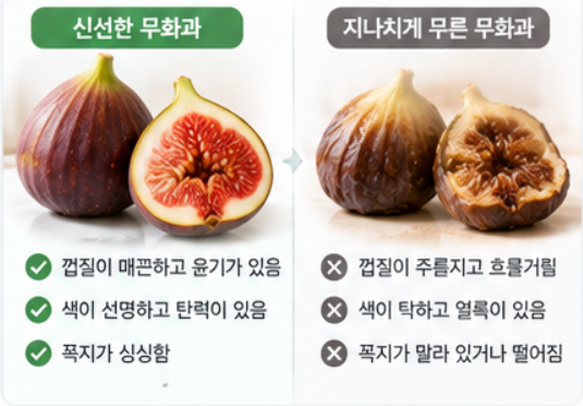무화과 보관법｜오래 신선하게 먹는 방법과 맛있는 무화과 고르는 법