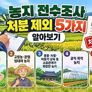 농지 전수조사 처분 제외 기준 5가지 총정리｜상속농지·고령농·임대농지 꼭 확인!!