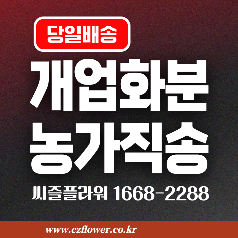수원 개업 축하 화분 당일 배송