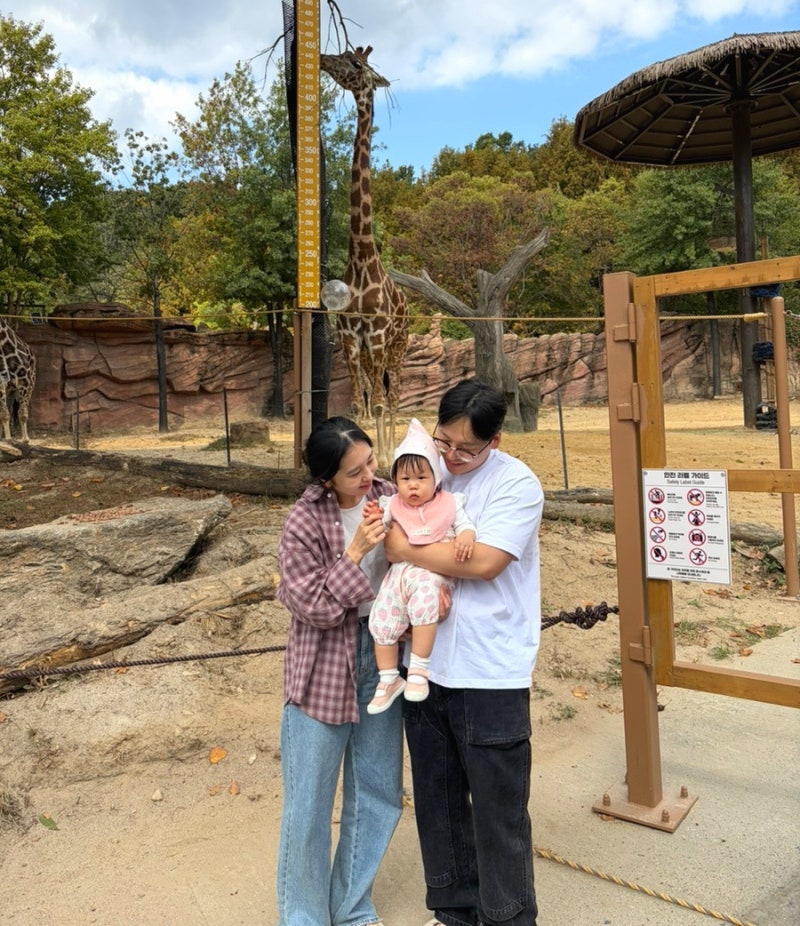 11개월 아기랑 에버랜드 사파리 및 놀이기구 동선 코스 추천 (feat. 입장권, 유료주차장, 피크....