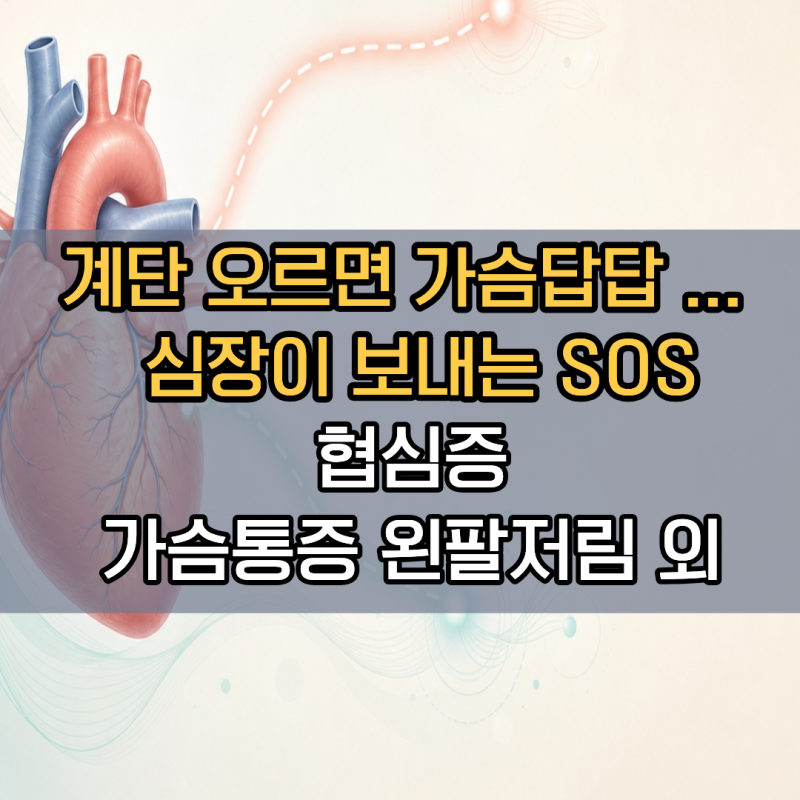"계단 오르면 가슴 답답한데 이 신호 나타나면 심장이 보내는 SOS입니다" 협심증초기증상 3가....