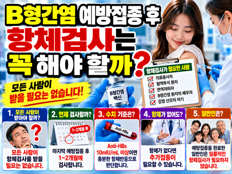 B형간염 예방접종 후 항체검사는 꼭 해야 할까?｜검사가 필요한 사람과 필요 없는 사람