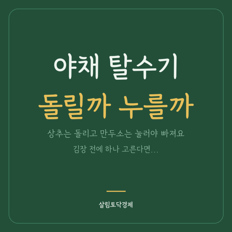 야채 탈수기, 돌리는 것과 누르는 것이 달라요 ｜ 1.3만~9.9만원 짤순이·스피너 5가지