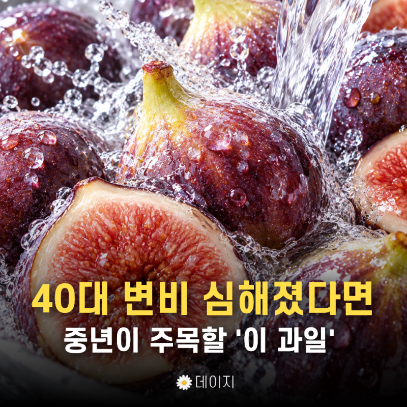 "이래서 중년들이 챙겼구나" 40대 이후 주목해야 할 무화과 효능 4가지