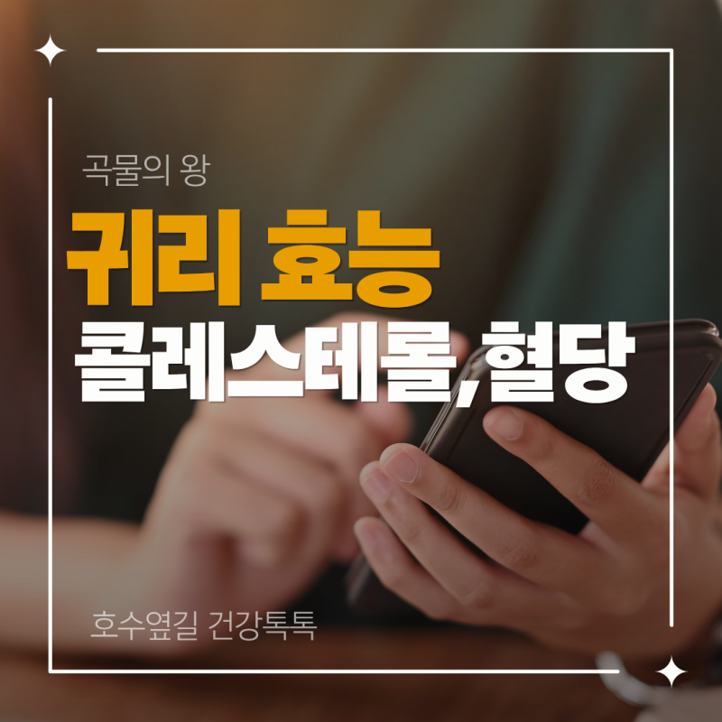 곡물의 왕 귀리효능 콜레스테롤부터 혈당, 먹는 법까지