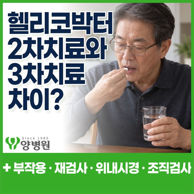 헬리코박터균 2차치료 · 3차치료 차이는? 부작용부터 재검사·위내시경 조직검사까지 | 강동....