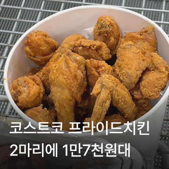 코스트코 일산점 프라이드치킨 2마리 1만7천원대｜20분 줄서서 산 후기