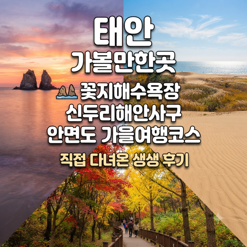 태안 가볼만한곳 꽃지해수욕장 신두리해안사구 안면도 가을여행코스 직접 다녀온 후기
