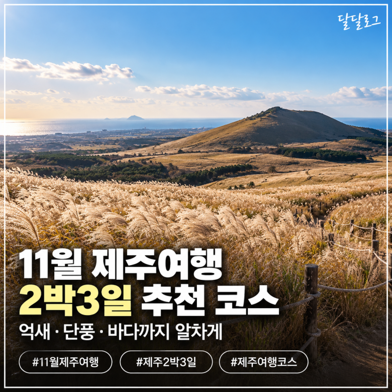 11월 제주여행 2박3일 코스 추천｜억새·바다·단풍까지 알차게 돌아보는 일정
