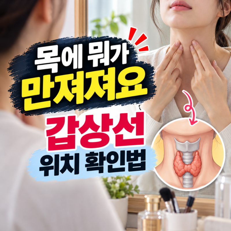 갑상선 위치 확인법, 결절 크기별 수술 기준과 진단비 확인할 것