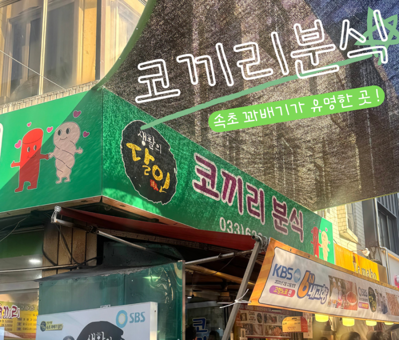 속초 | 속초중앙시장 먹거리 추천 코끼리분식 꽈배기 맛집