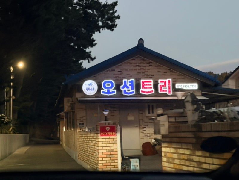 고흥 숙소 추천 오션트리펜션 l 4인 단체 우주떡집 숙소 내돈내산 후기