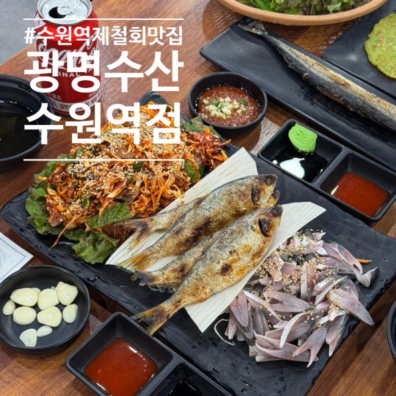 수원역횟집 광명수산 수원역점｜제철회를 가성비 있게 세트로 즐길 수 있는 수원 맛집