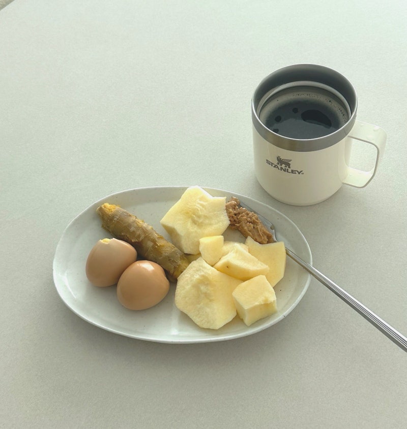 임산부 변비&치질 해결 프로젝트(치핵/유산균/식단/요가자세)