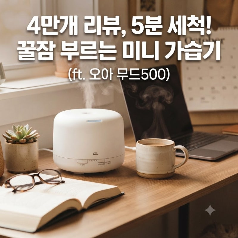 "3만원대가 뭘 하겠나" 미니 가습기 켜고 처음으로 아침까지 안 깬 밤