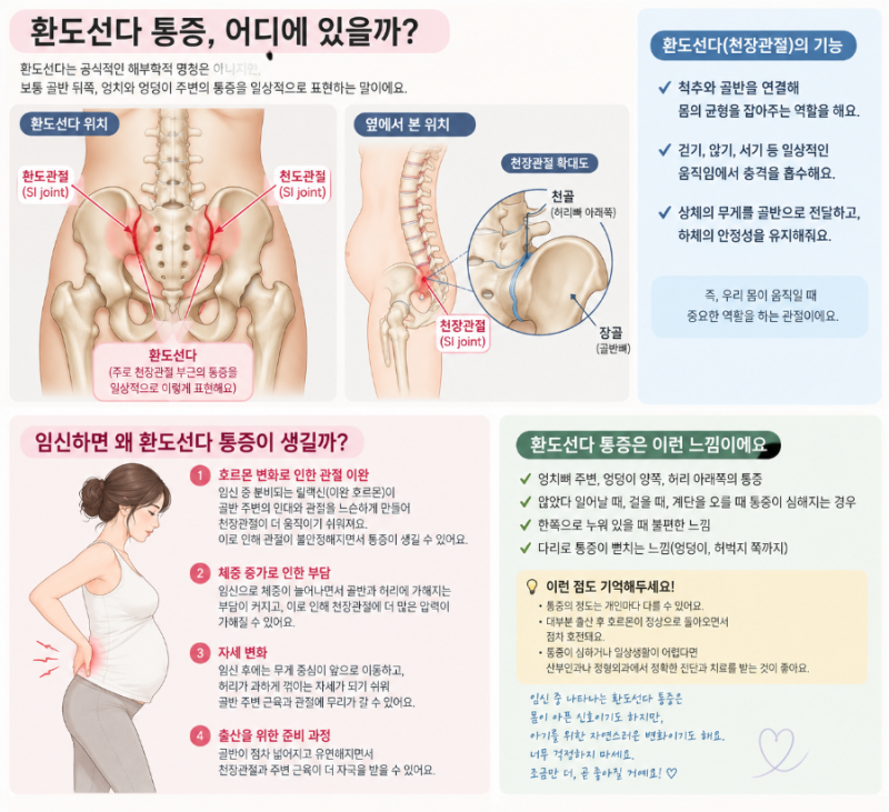 임산부 환도선다 통증 28주에 시작됐다! 집에서 가능한 셀프 극복 관리법