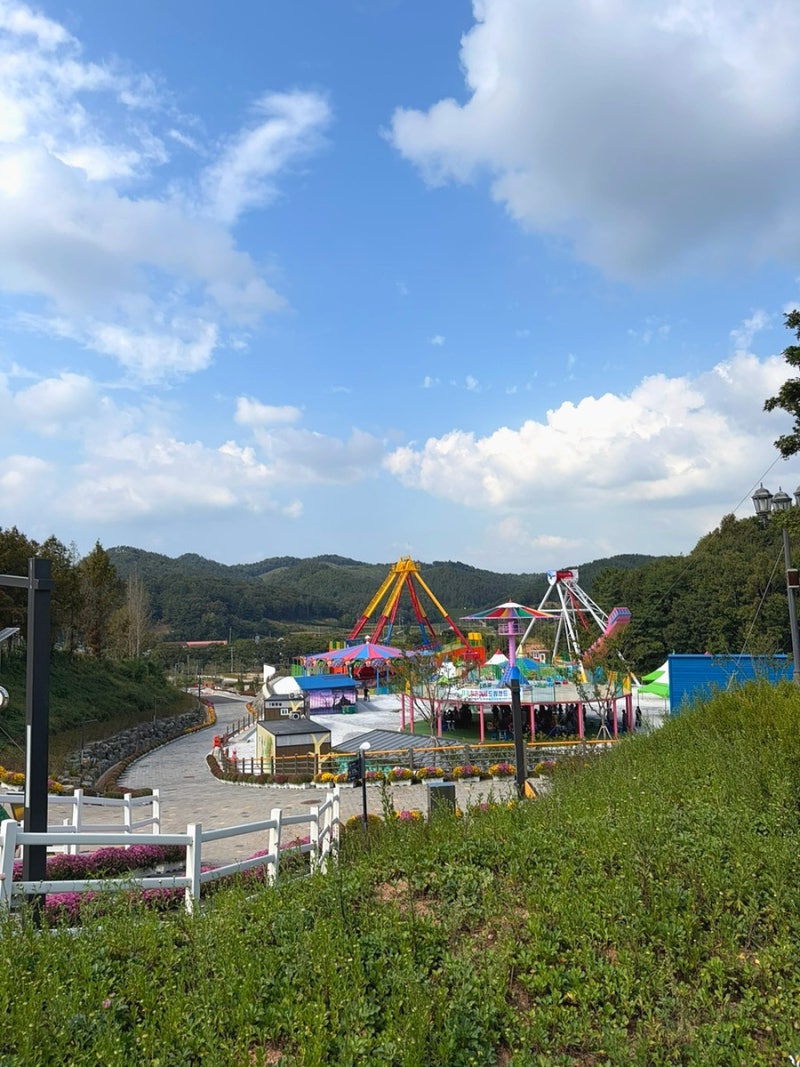 전주근교 아기랑 가볼만한 곳｜임실치즈테마파크 국화축제 동물 먹이주기부터 피자체험까....