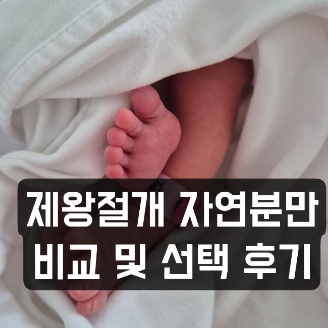 자연분만 제왕절개 비교 장단점 고민 및 선택후기