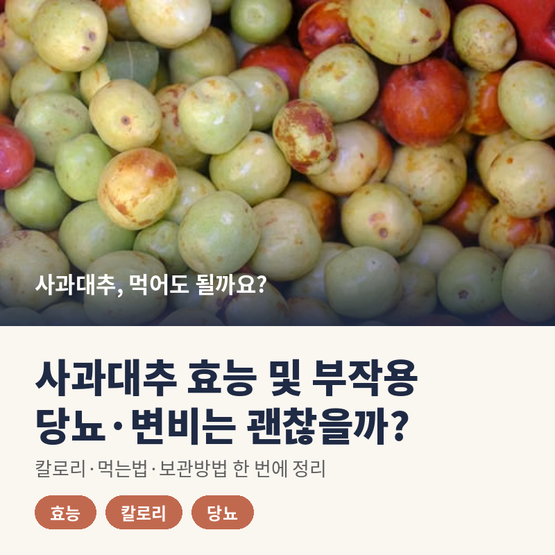 사과대추 효능 및 부작용, 당뇨와 변비에 괜찮을까요? 칼로리·먹는법 정리