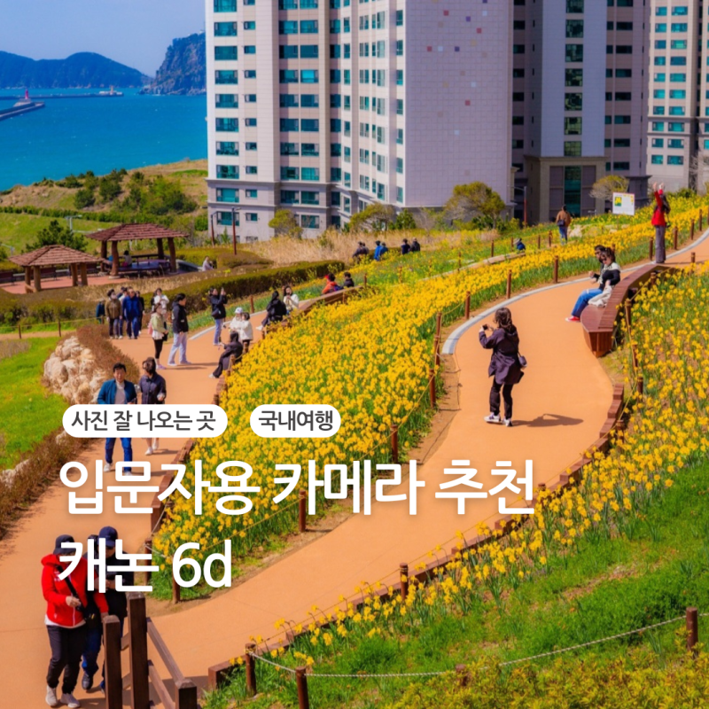 입문용 카메라 추천 캐논 dslr 6d 사용후기