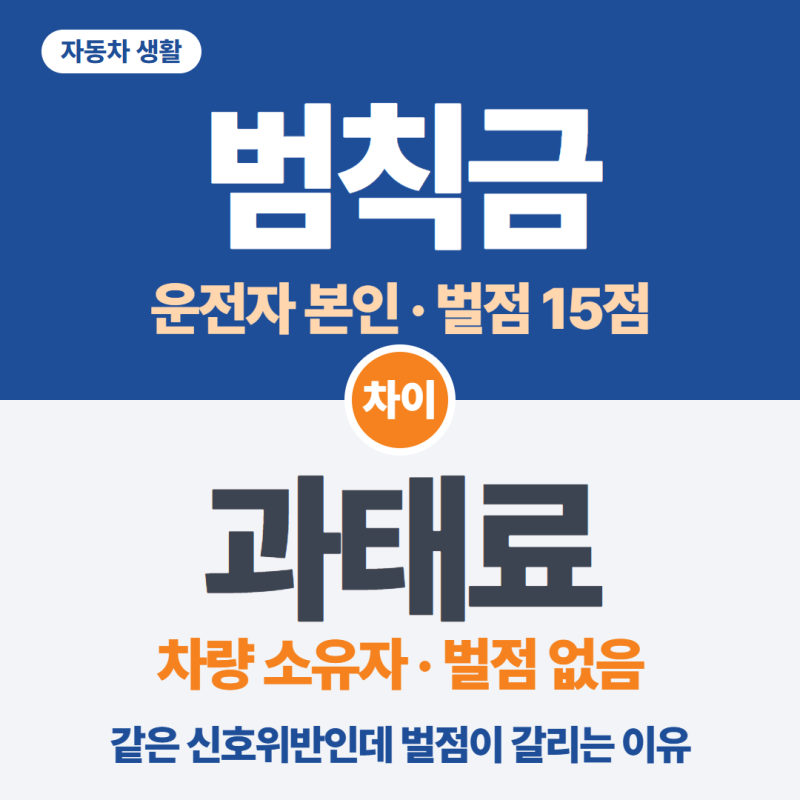 범칙금과 과태료 차이, 같은 신호위반인데 벌점이 갈리는 이유