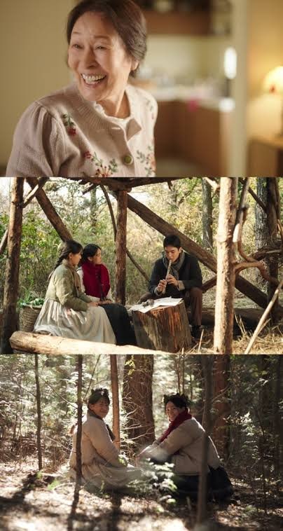 김혜자 부산국제영화제 근황, 기침 모습에 관계자 입장은? '여전히 찬란하게' 출연 이유 정리