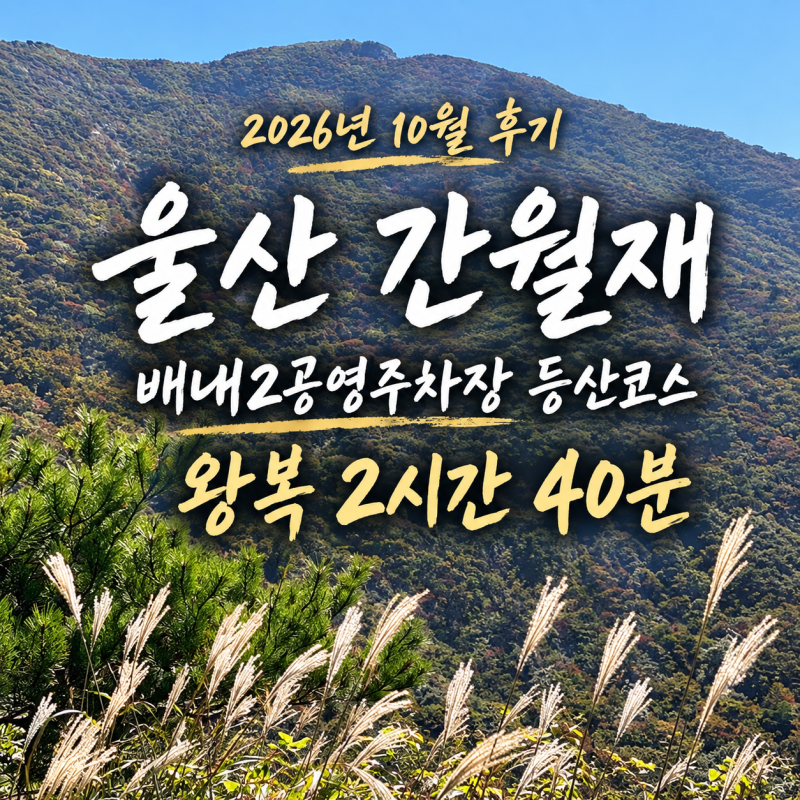 울산 간월재 26년 10월 후기, 배내2공영주차장 등산코스 왕복 2시간 40분