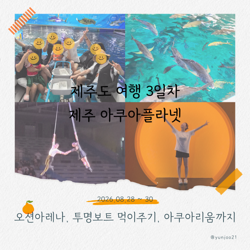 제주도 여행 9 | 아쿠아플라넷 제주, 오션아레나 인어공주 공연·투명보트 체험 후기