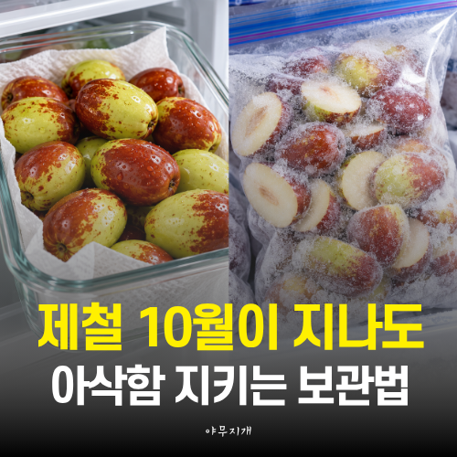 이렇게도 먹어볼까? 10월 제철 사과대추(+보관방법)