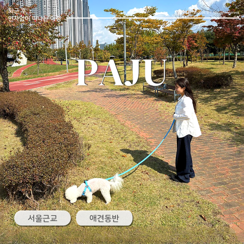 피크닉 할 수 있을까? 파주 운정호수공원 서울 근교 애견동반 나들이 추천
