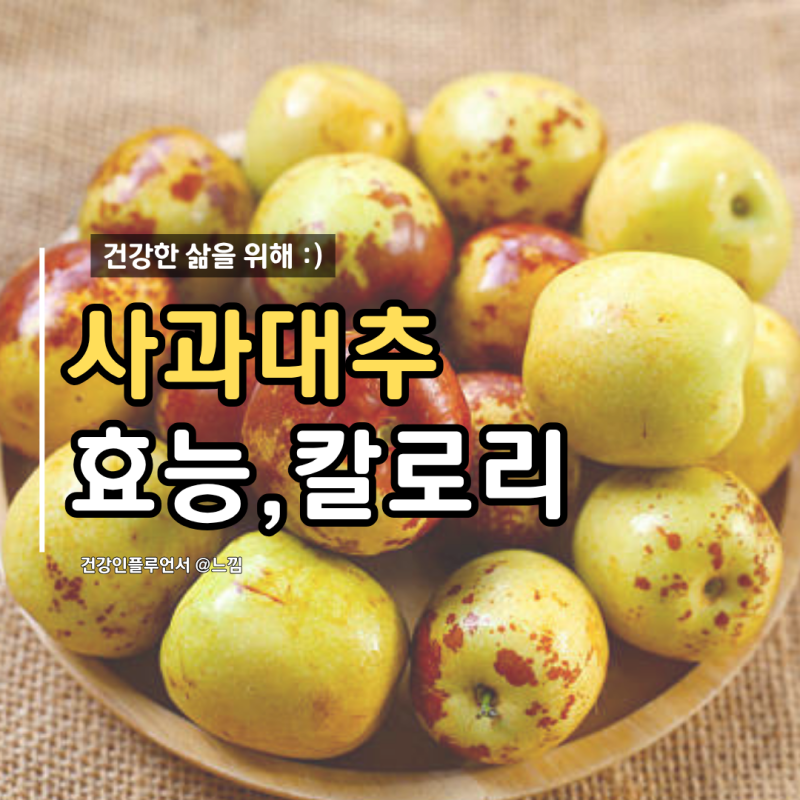 사과대추 효능 칼로리 보관법 제철