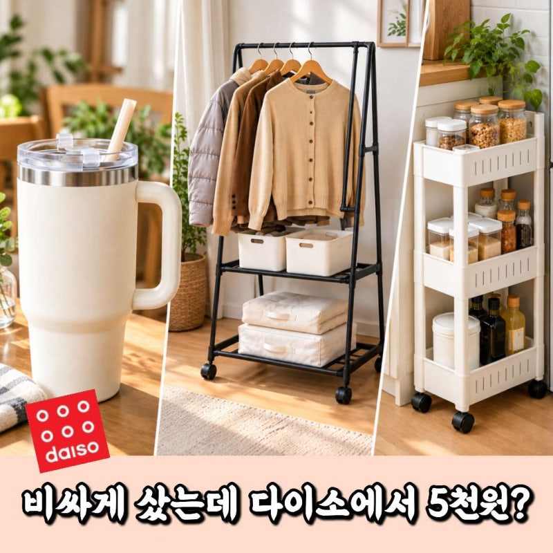 비싸게 샀는데 "이게 다이소에 5천원?" 감탄 나오는 생활템 3가지