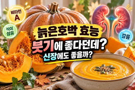 늙은호박 효능 5가지, 붓기에 좋은 이유는? 신장·영양성분·먹는법 총정리