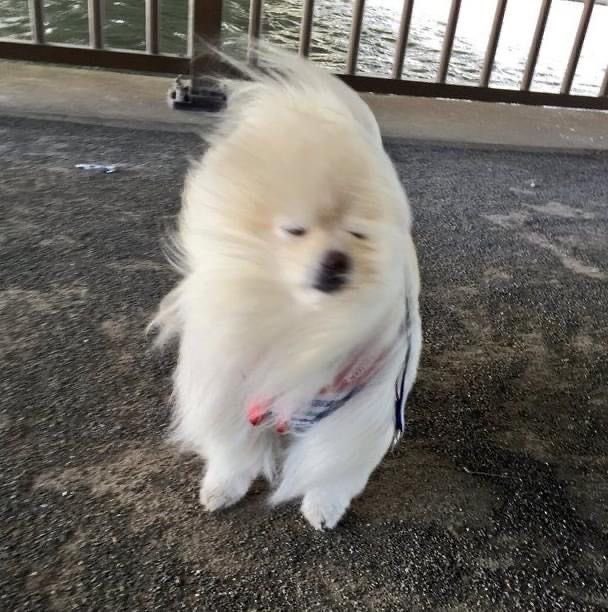 비 오는 날 밖에 나서려면 우산을 써도 조금은 젖을 각오를 해야 한다/스웨덴 교환학생/8월 ....