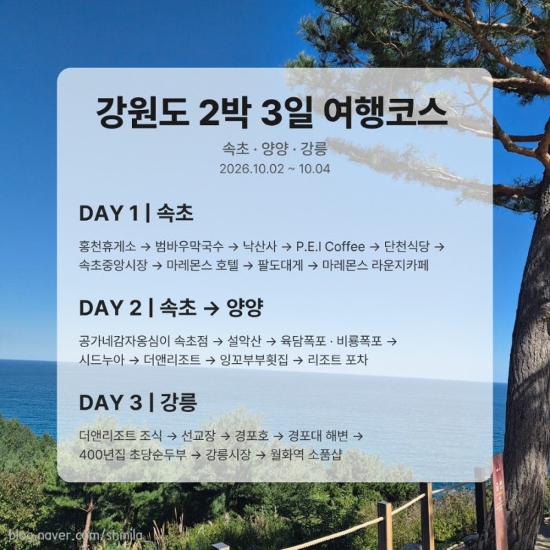 강원도 2박 3일 여행코스 | 속초·양양·강릉 여행 일정