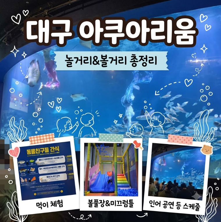 [2편: 실전 관람·체험 편] 대구 아쿠아리움 먹이체험, 볼풀장과 최신 공연 시간표 총정리