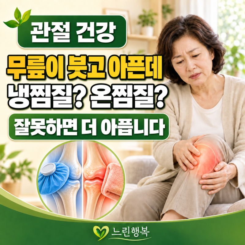 5탄. 관절 건강｜무릎 아플 때 냉찜질·온찜질 언제 해야 할까? 붓기·열감·뻣뻣함 기준