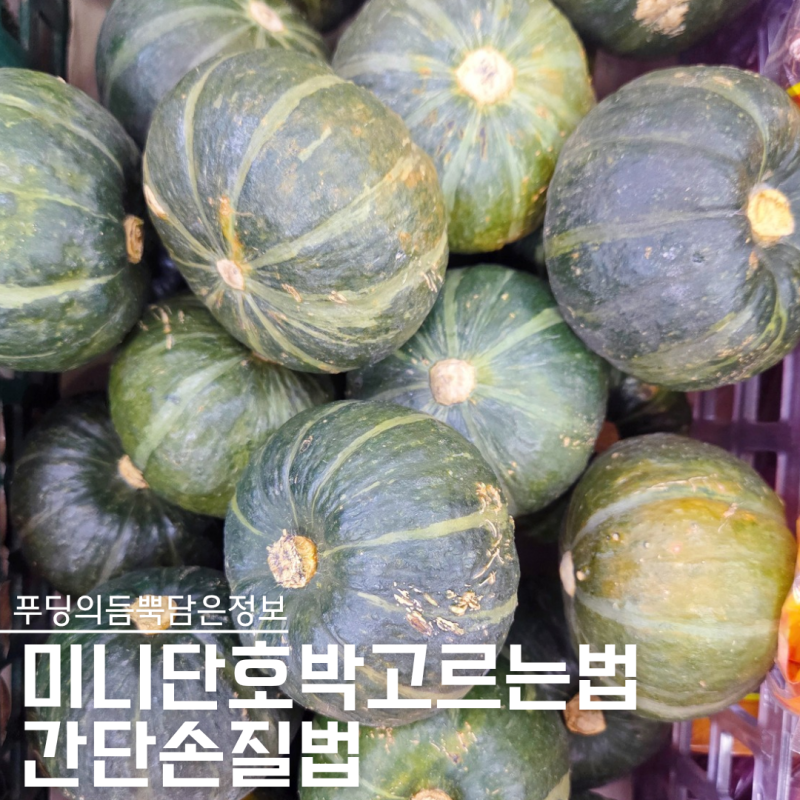 “이렇게 달았어?” 미니단호박 맛있게 고르는 법과 간단 손질법