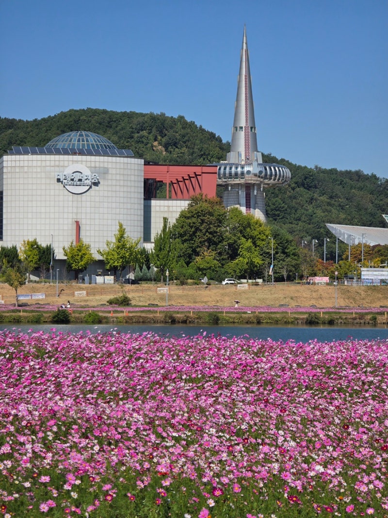 [대전 가볼만한곳]코스모스 한밭수목원, 갑천수상스포츠· 바베큐장, 성심당 DCC |10/9일 문보....
