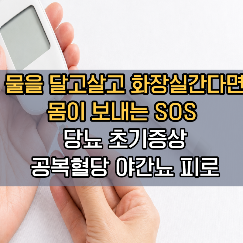 "물을 달고 살고 밤마다 화장실에 간다면" 몸이 보내는 SOS 3가지 | 피로 당뇨초기증상 야간뇨 ....