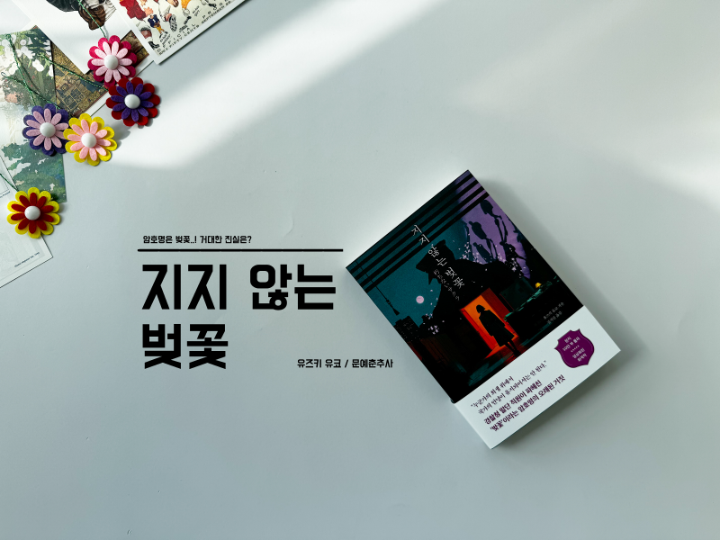조직이 감춘 진실은? 일본 추리소설 추천, 지지 않는 벚꽃