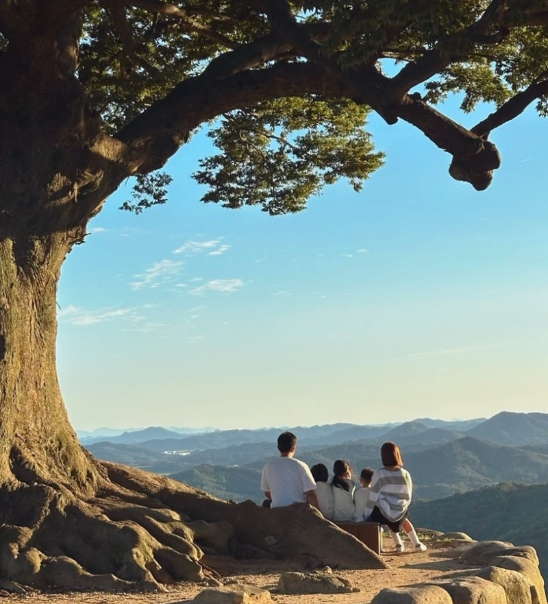충남 부여 | 성흥산성 사랑나무 포토존 가는 방법 | 사진찍을때 꿀팁 | 주차장 | 아이랑 가볼....