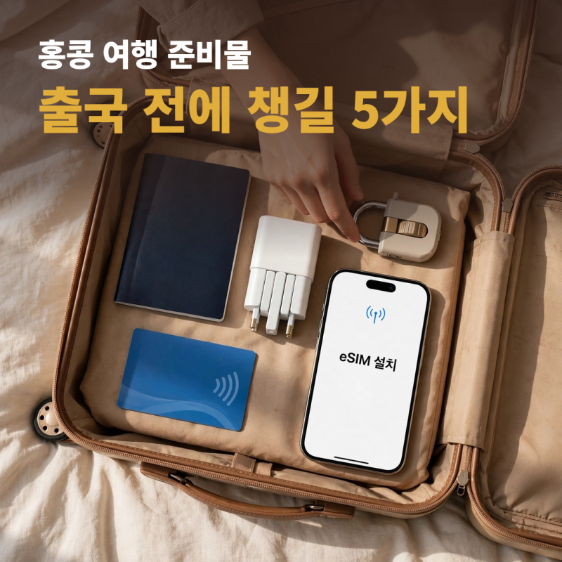 홍콩 여행 준비물 체크리스트, 이심부터 필수 앱까지 출국 전 확인