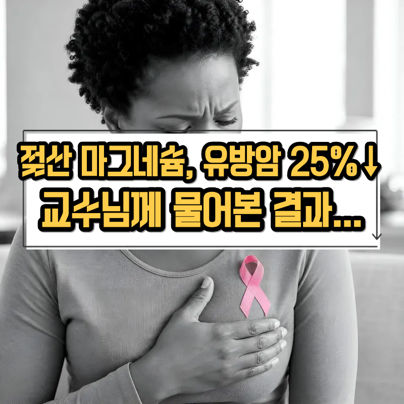 젖산 마그네슘 영양제 추천 | 효능·가격·유방암 위험 25% 감소설 팩트체크