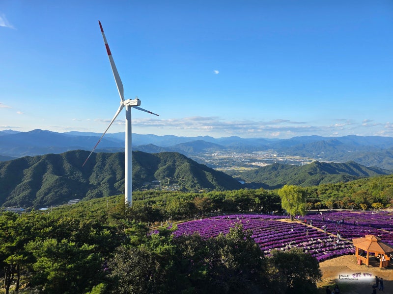 거창 축제 감악산 꽃별여행 셔틀버스 주차장 별바람언덕 방문후기