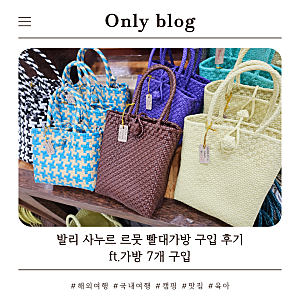 발리 사누르 르뭇 빨대가방 7개 구입, 만족 후기 (가격정보)